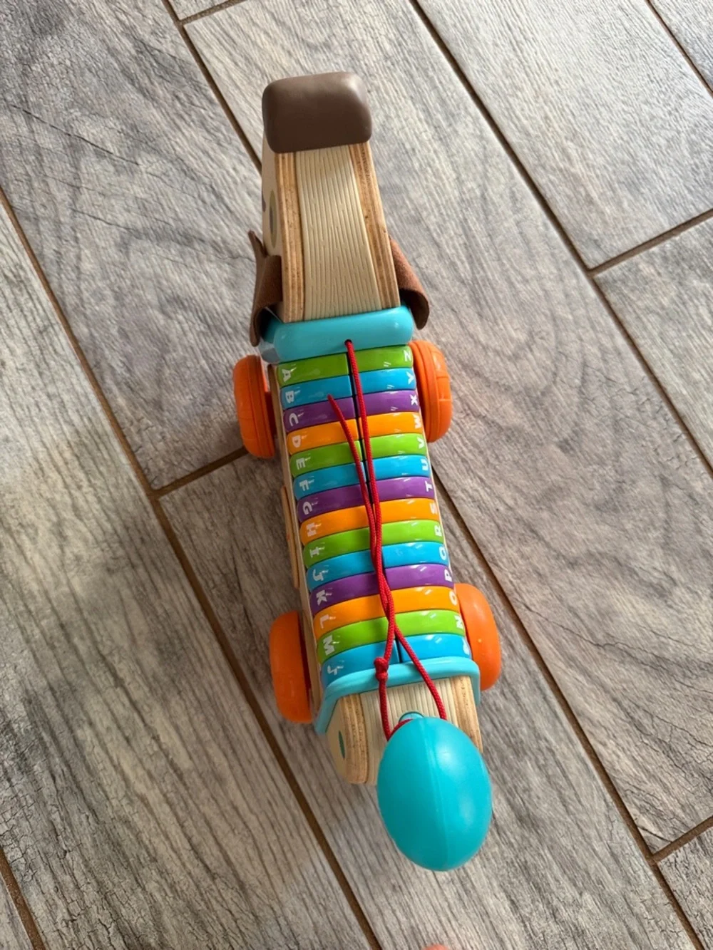Wooden Alphabet Xylophone Pull-Along Dachshund Toy - Multicolor